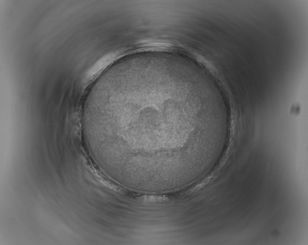 X0000114611354200911101142