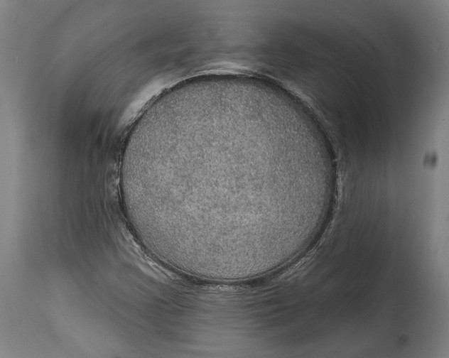 X0000114611355200911101142