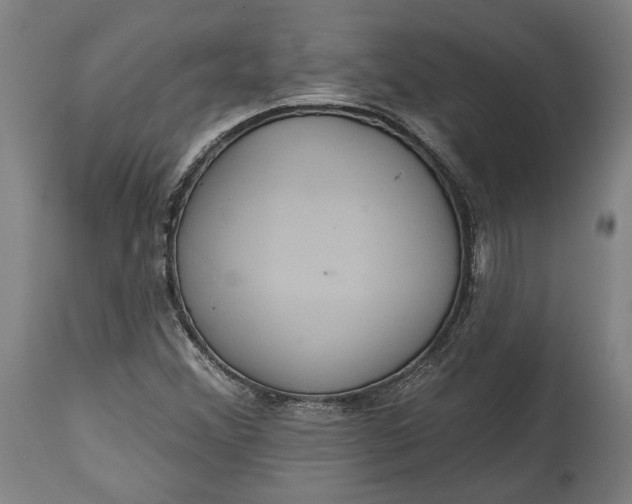 X0000114611356200911101142