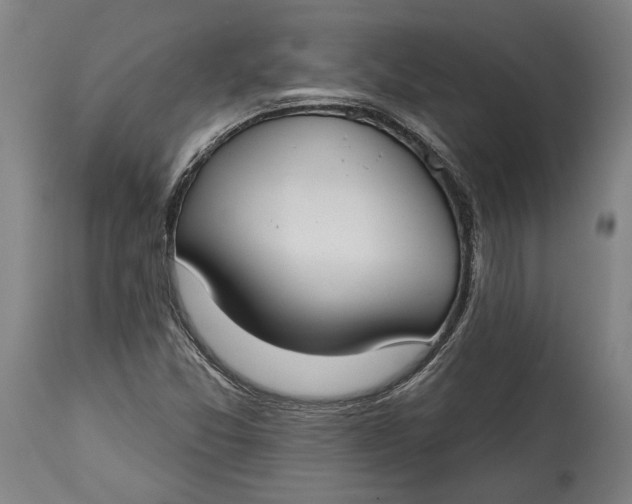 X0000114611357200911101142