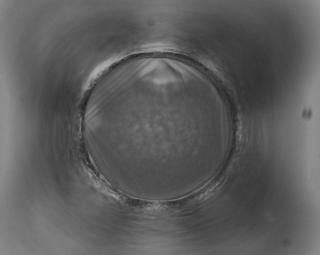 X0000114611358200911101142