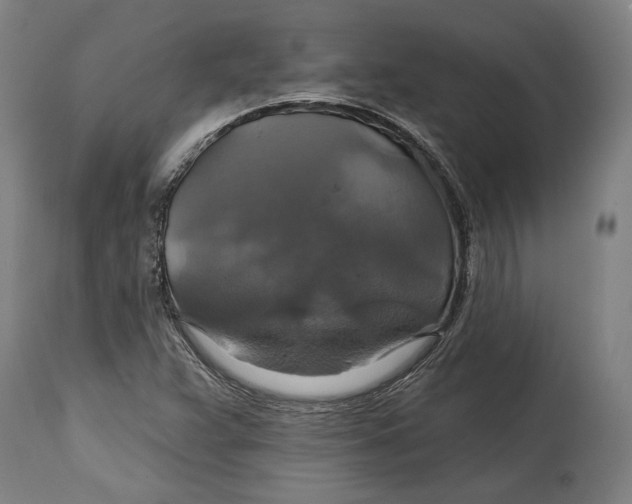 X0000114611359200911101142