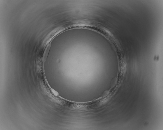 X0000114611361200911101142