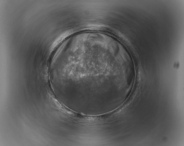 X0000114611362200911101142