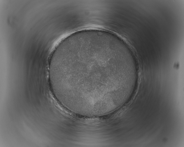 X0000114611363200911101142