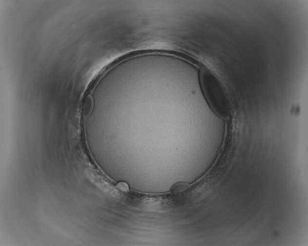 X0000114611364200911101142