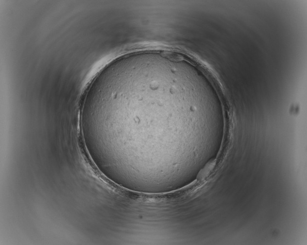 X0000114611365200911101142