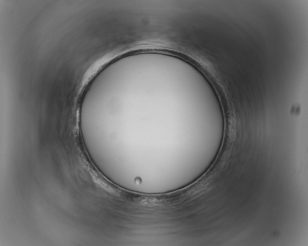 X0000114611366200911101142