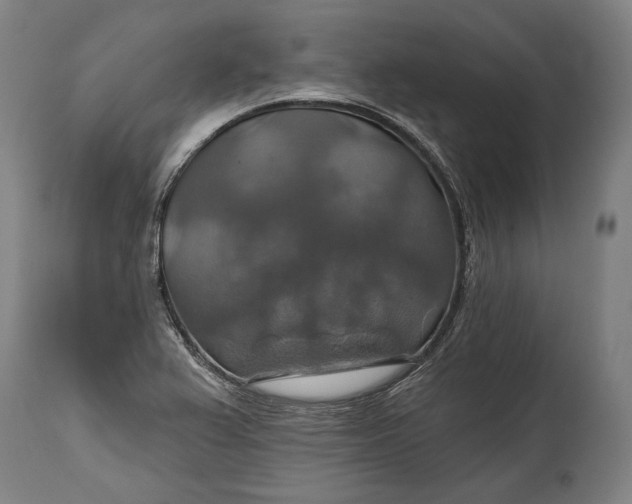 X0000114611367200911101142