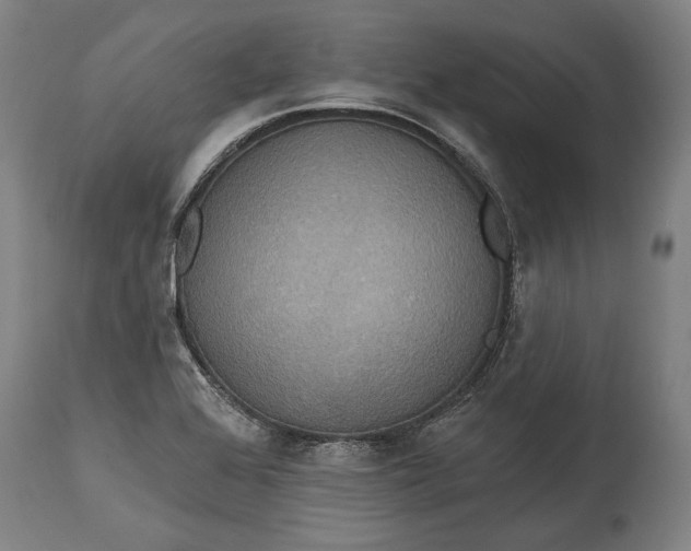 X0000114611368200911101142