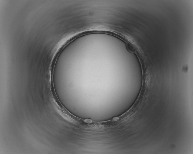 X0000114611372200911101142