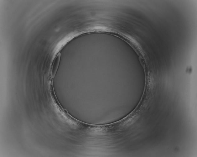 X0000114611373200911101142