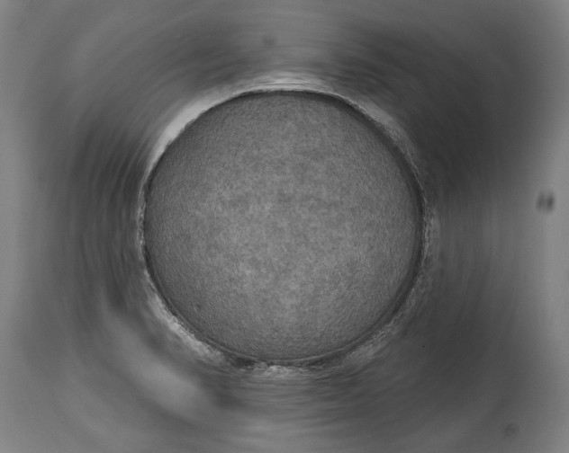 X0000114611374200911101142