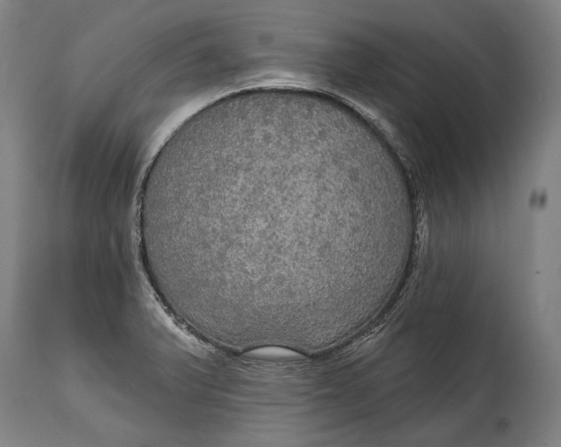 X0000114611375200911101142