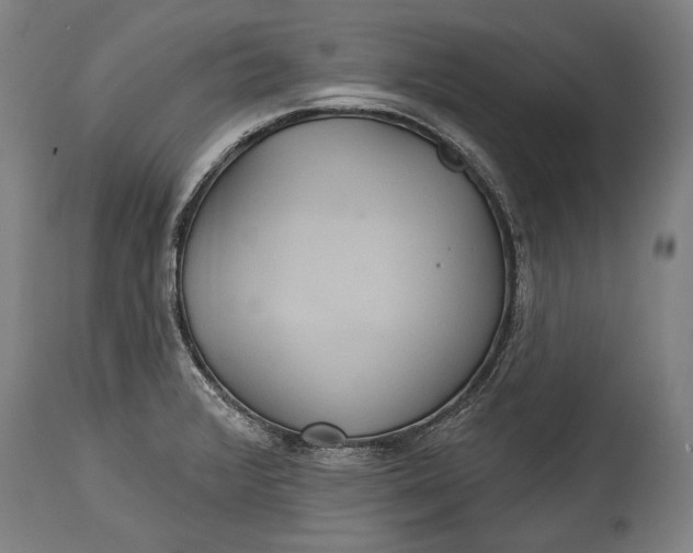 X0000114611376200911101142