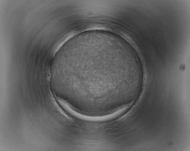 X0000114611377200911101142