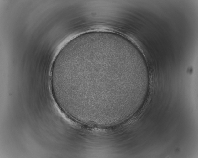 X0000114611379200911101142