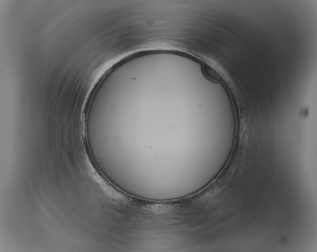 X0000114611380200911101142