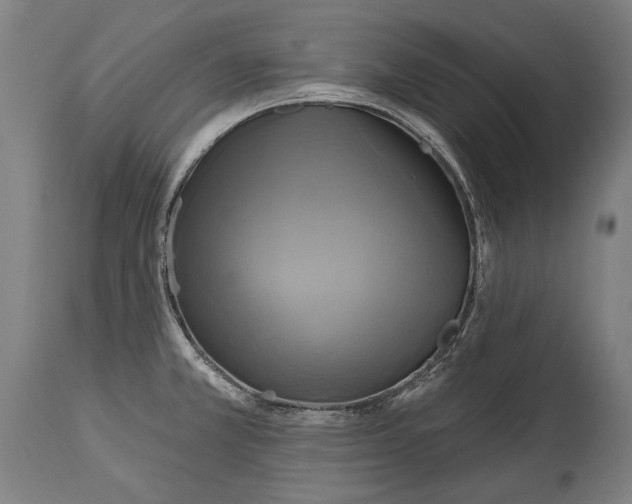 X0000114611381200911101142