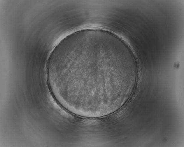 X0000114611382200911101142