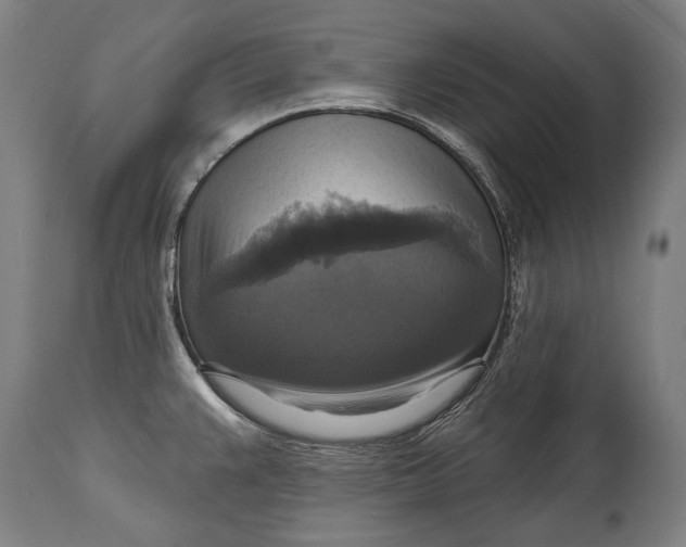 X0000114611383200911101142