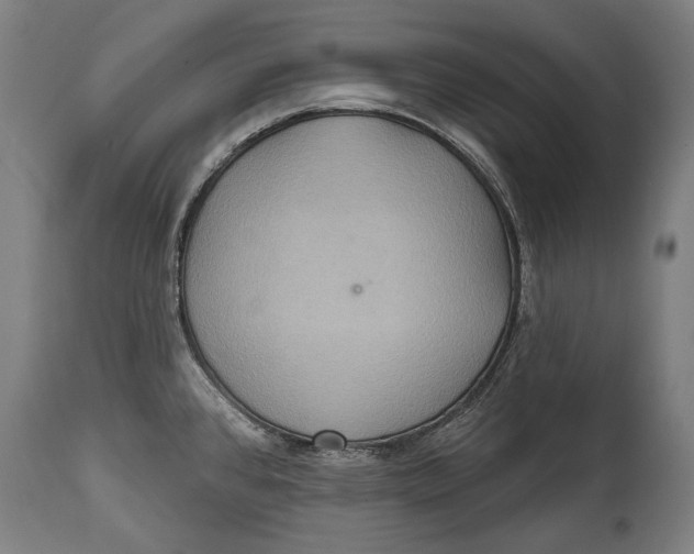 X0000114611384200911101142