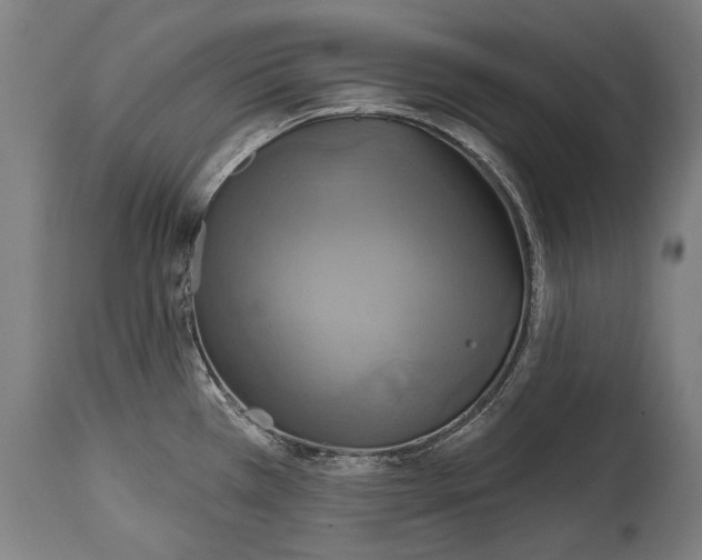 X0000114611385200911101142