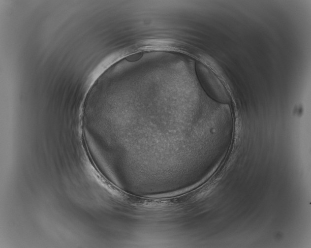 X0000114611386200911101142