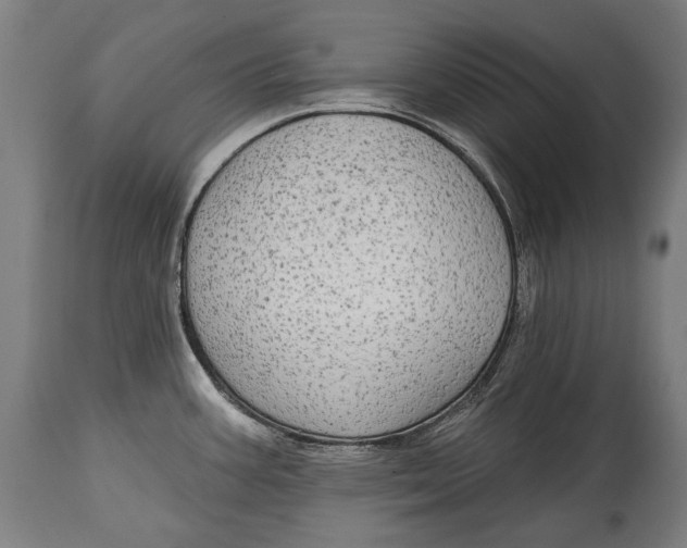 X0000114611387200911101142