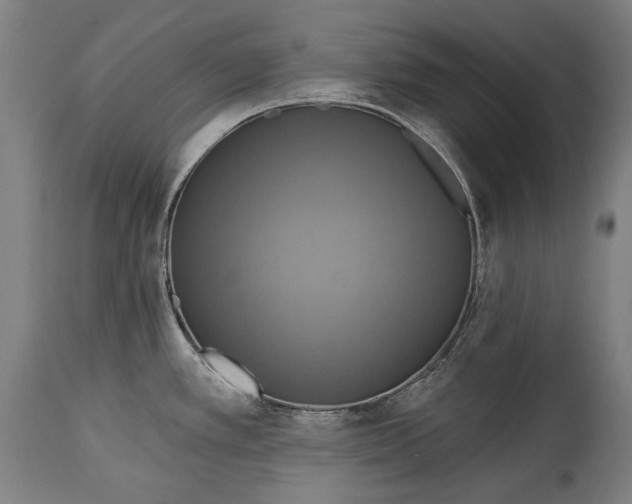 X0000114611389200911101142