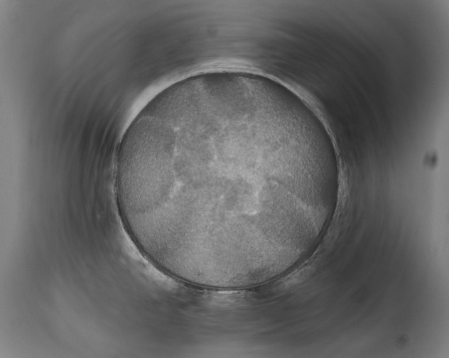 X0000114611390200911101142