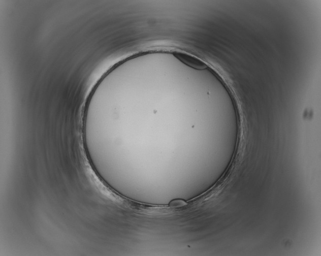 X0000114611392200911101142