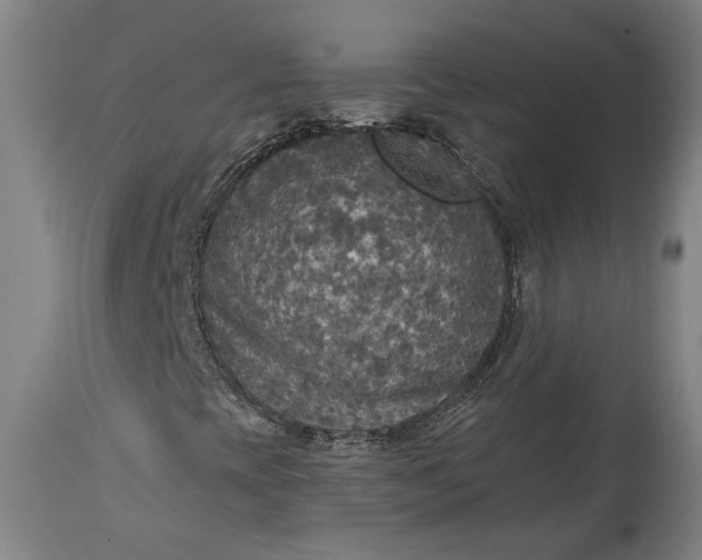 X0000114611393200911101141