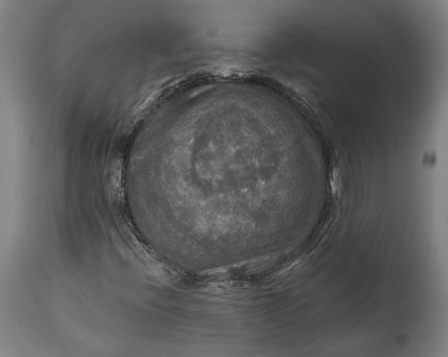 X0000114611396200911101141