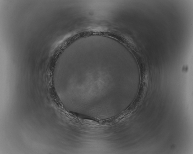 X0000114611398200911101141