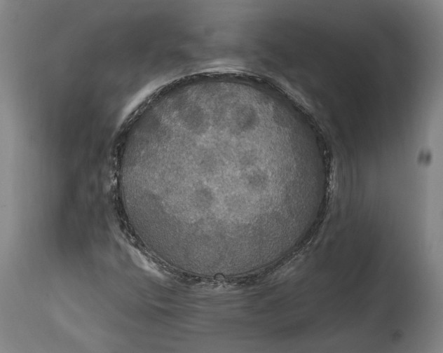 X0000114611400200911101141