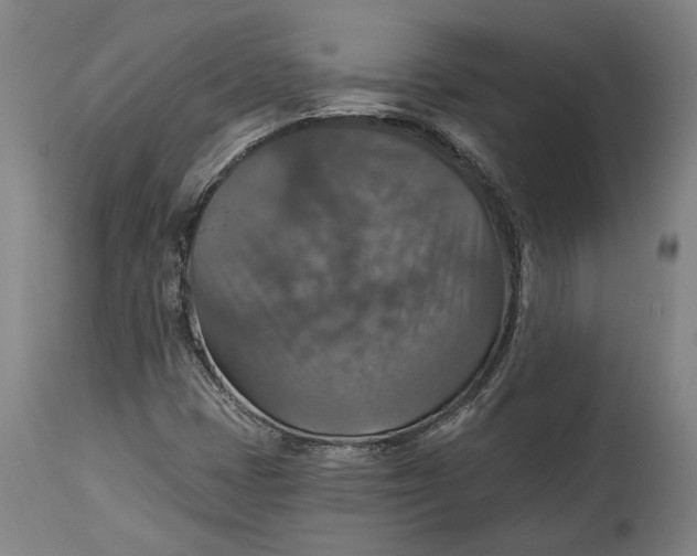 X0000114611401200911101141