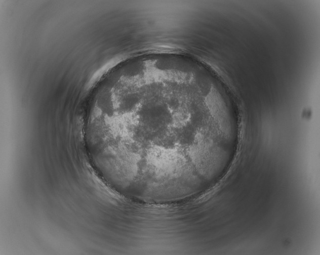 X0000114611402200911101141