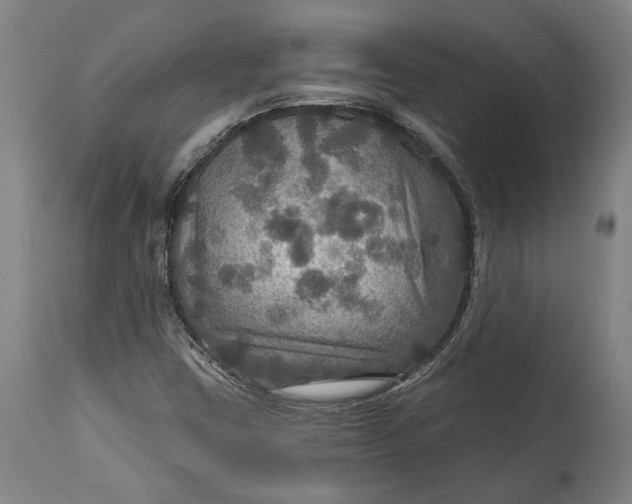 X0000114611403200911101141