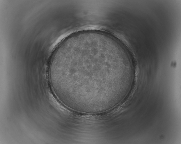 X0000114611404200911101141