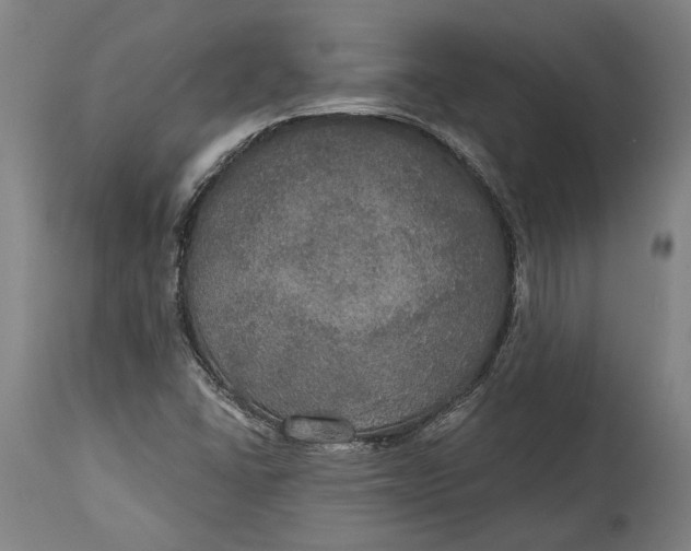 X0000114611406200911101141