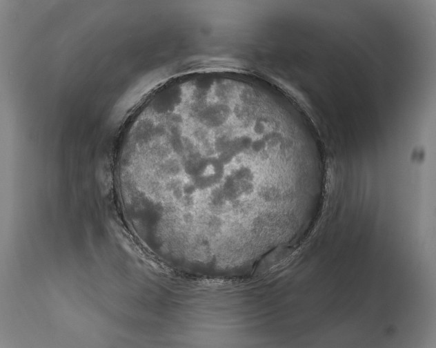 X0000114611407200911101141