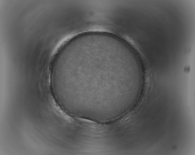 X0000114611408200911101141