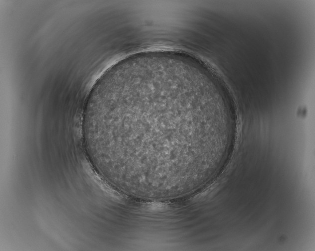 X0000114611409200911101141