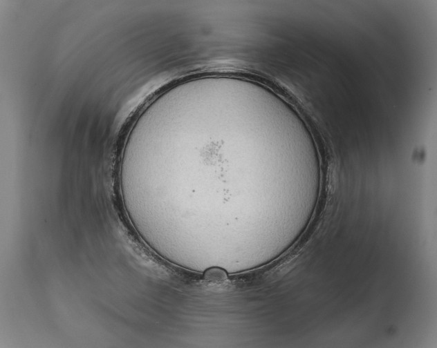 X0000114611410200911101141