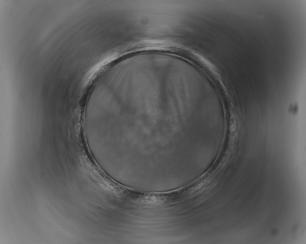 X0000114611411200911101141