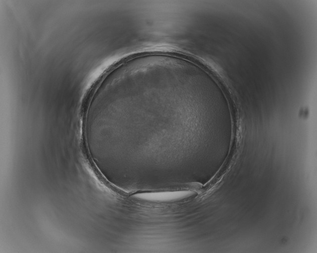 X0000114611414200911101141