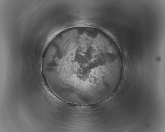 X0000114611415200911101141