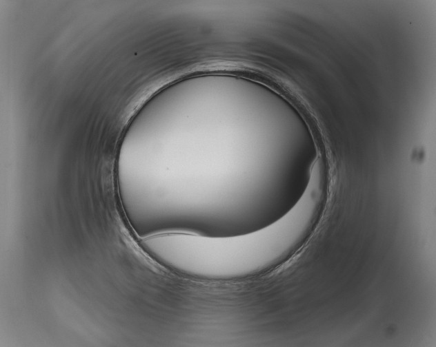 X0000114611417200911101142