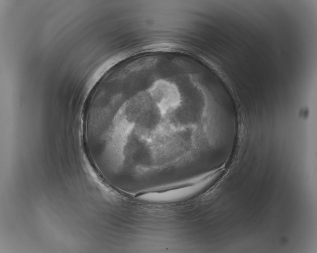 X0000114611418200911101142